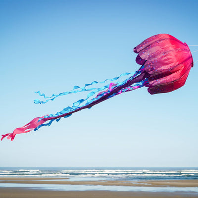 In the Breeze, LLC. - Jellyfish Big Breeze Windsock™