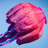 In the Breeze, LLC. - Jellyfish Big Breeze Windsock™