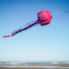 In the Breeze, LLC. - Jellyfish Big Breeze Windsock™