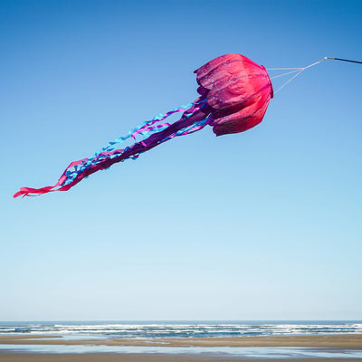 In the Breeze, LLC. - Jellyfish Big Breeze Windsock™