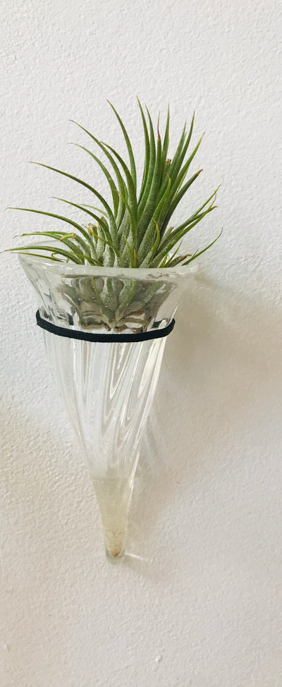 Wall Vase